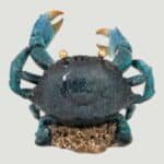 Blue Crab Bottle Holder