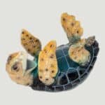 Drinking Blue Turtle Bottle Holder