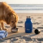 33oz Pet Jug background