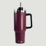 40oz Stainless Steel Tumbler with handle Double Wall Vacuum Insulated Tumbler, Tropic Plum Purple