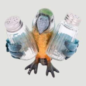 Blue Parrot Salt & Pepper Set