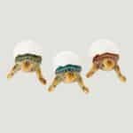 Assorted Baby Sea Turtle Egg