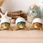 Assorted Baby Sea Turtle Egg Background