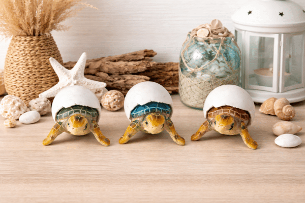 Assorted Baby Sea Turtle Egg Background