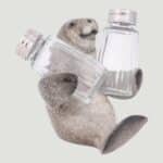 Manatee Salt & Pepper (3)