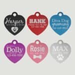 Heart Pet Tag All