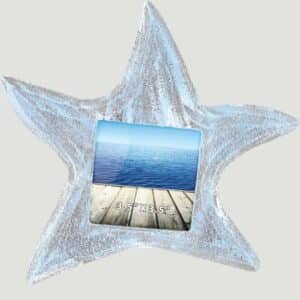 Pacific Starfish Frame G