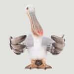 Pelican Salt & Pepper (4)