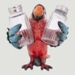 Red Parrot Salt & Pepper Set (2)