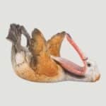 Pelican Wine Holder